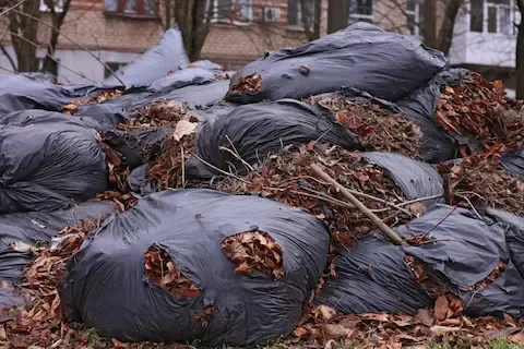 Yard waste removal with piled leaf bags and branches by West Linn Junk Removal.