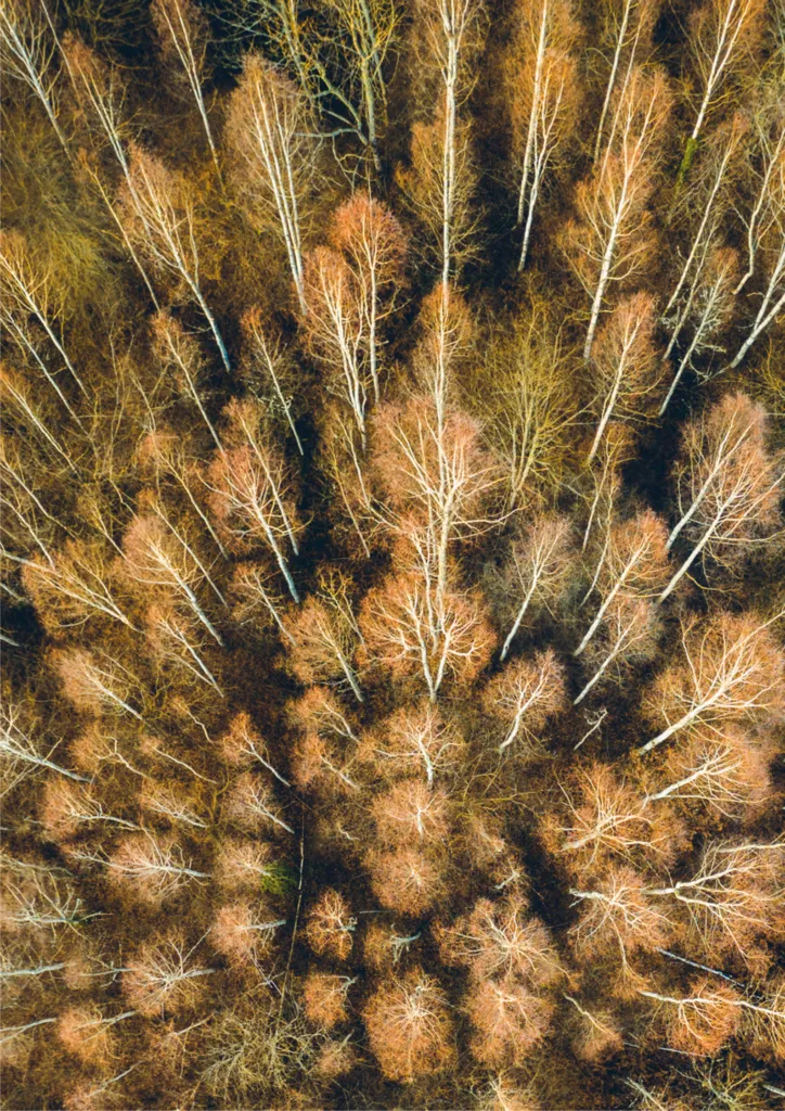 Dive into the Sonic Universe of Thierry David’s Six Waves