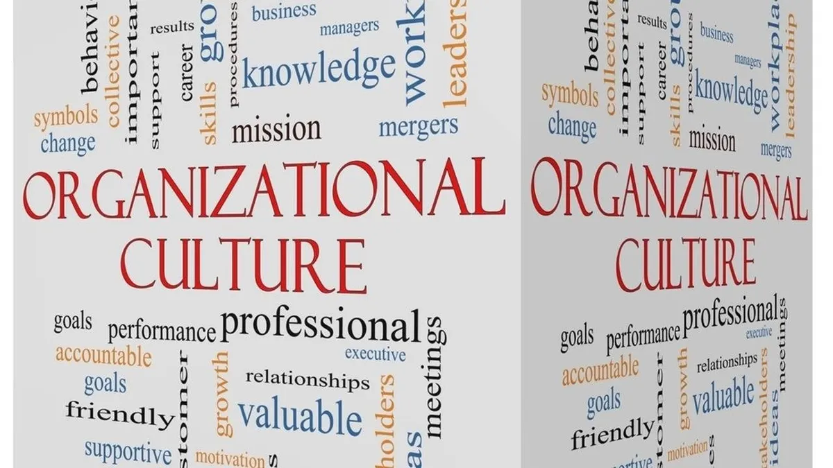 Coaching as a platform for Organisational, Cultural Change