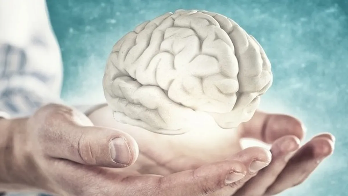 Mental model, Mindset and Mindfulness