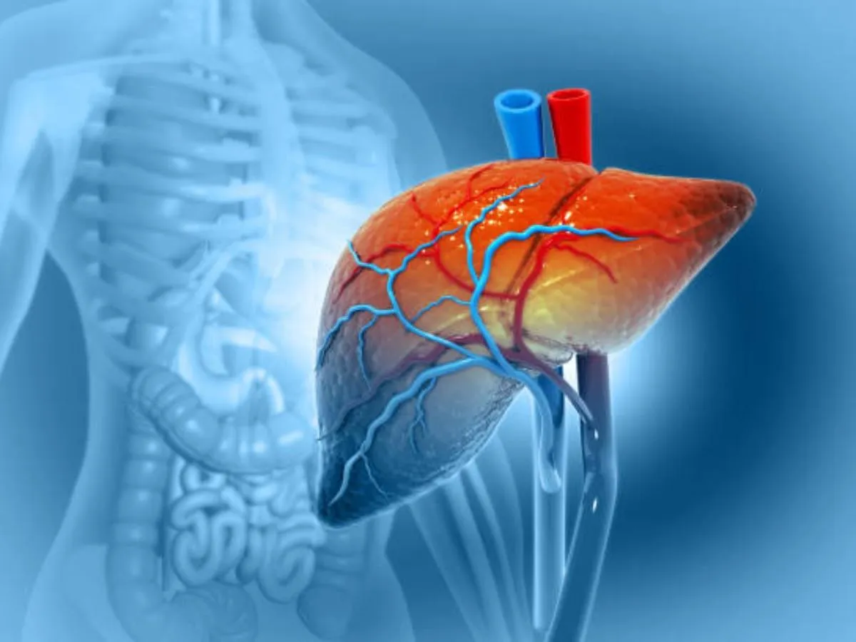 liver image