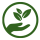 Plant Based image