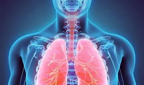 Breathe® Lung Image 