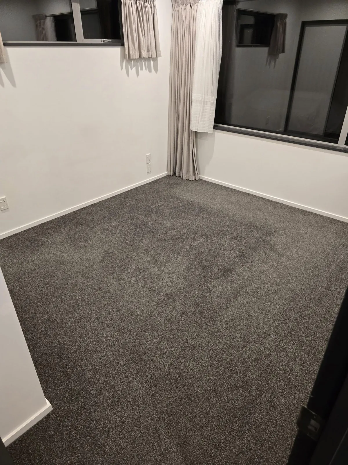 Steam carpet cleaning service in Christchurch removing dirt and allergens from living room rug