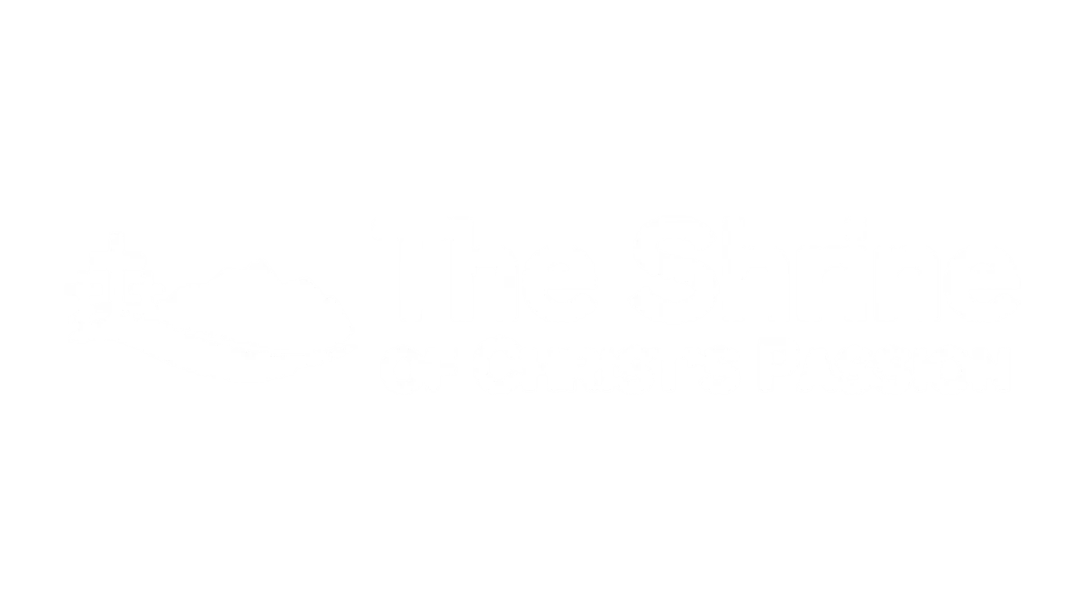 The Shine of Christ's Passion