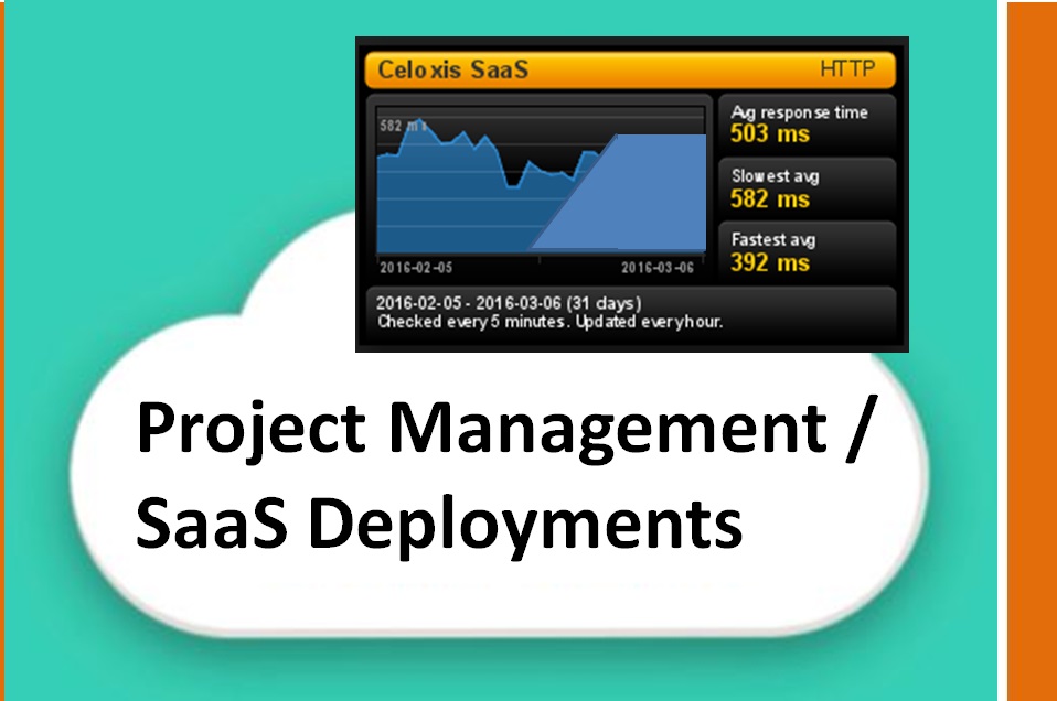 Project Management /SaaS Deployments