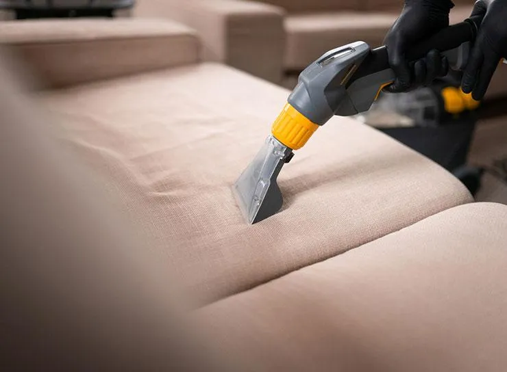 Upholstery cleaning service in Tampa FL