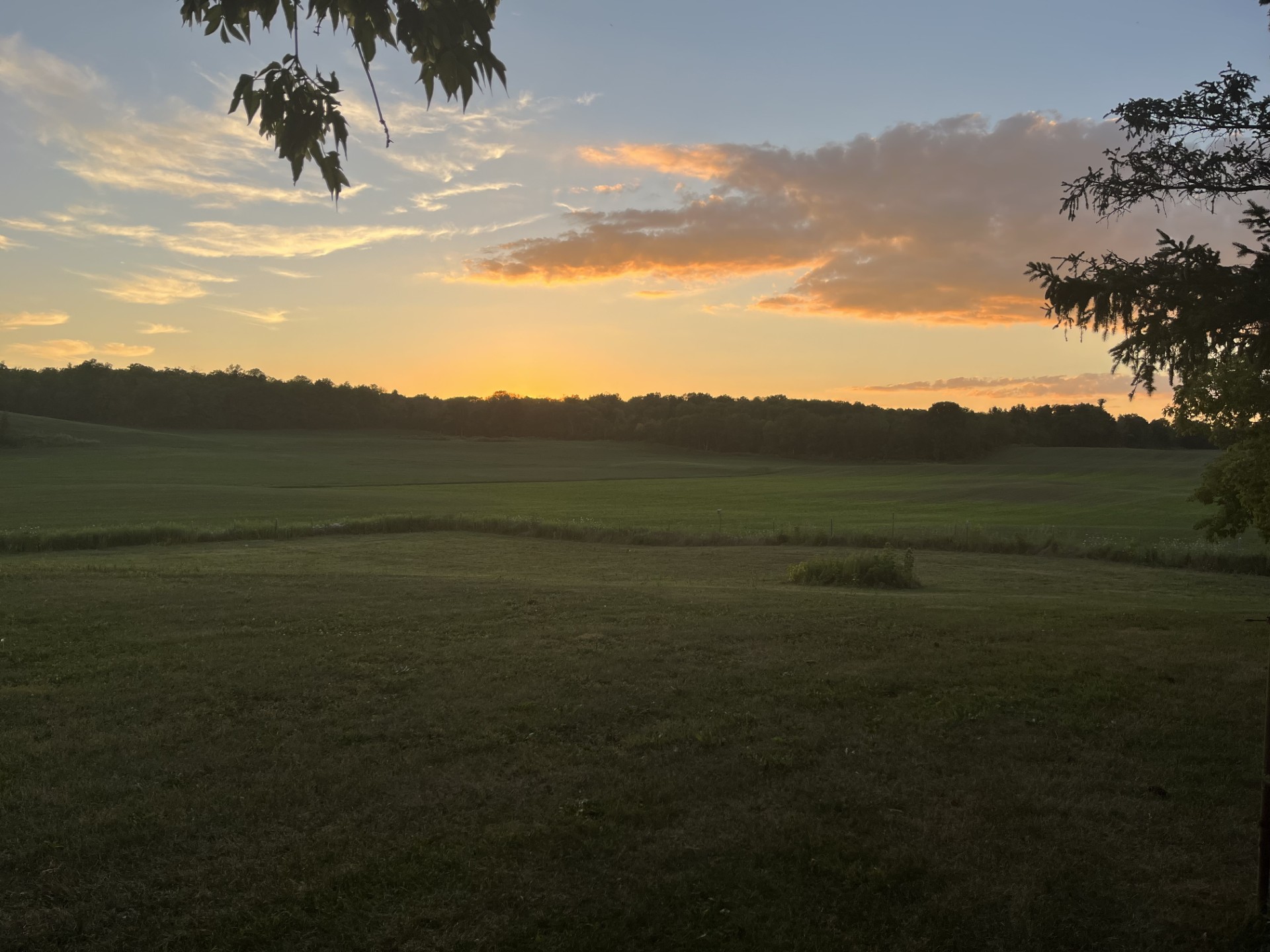 Open field at sunset at Wild Hearts Homestead in Trent Hills Ontario for photography sessions