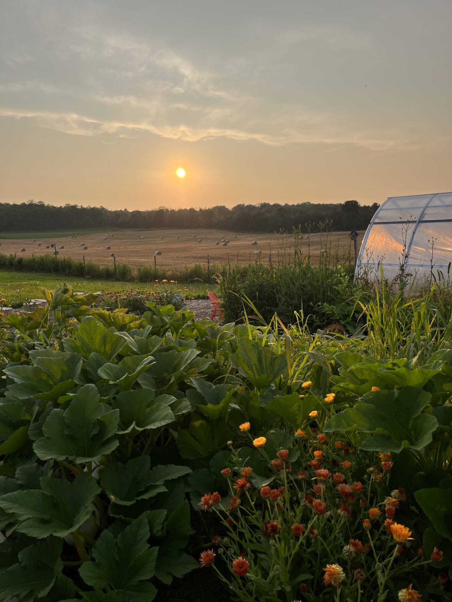 family photography  at Wild Hearts Homestead in campbellford ontario