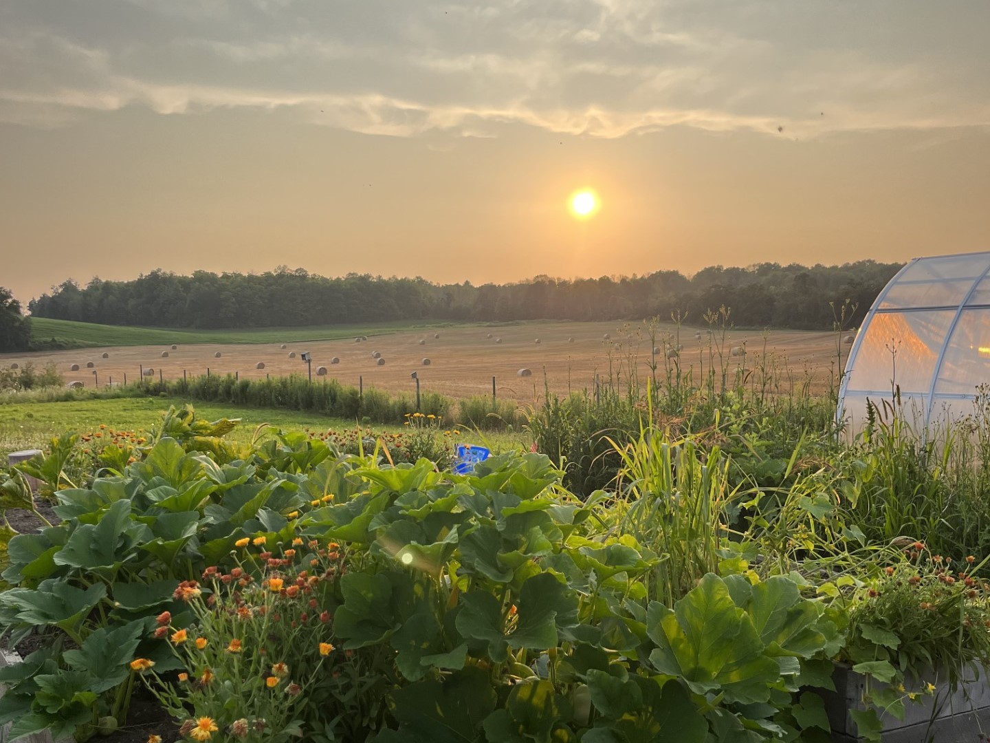 Creative outdoor workshop space with garden beds and sunset view in Trent Hills Ontario