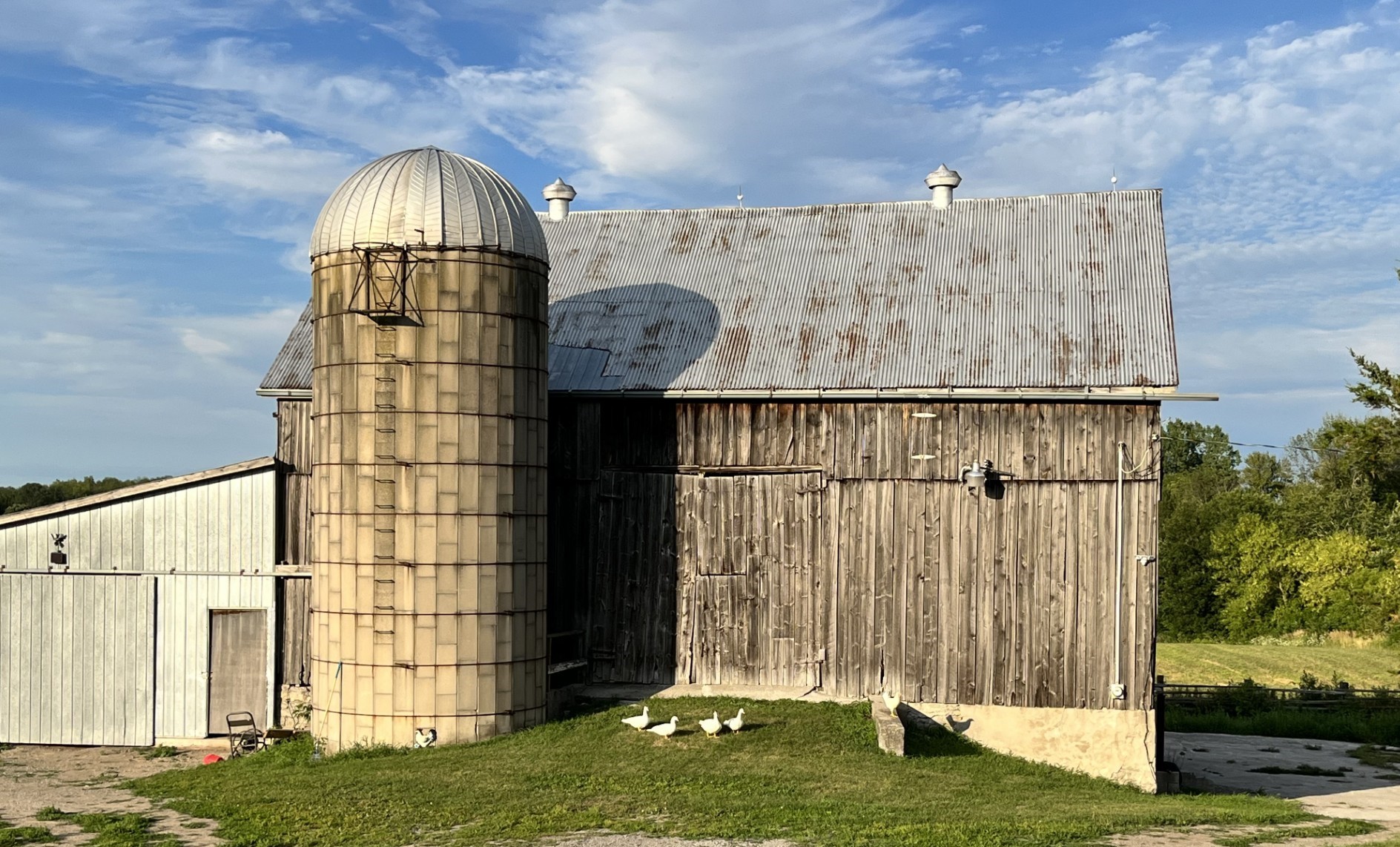 Rustic barn and silo at Wild Hearts Homestead in Campbellford Ontario photography location