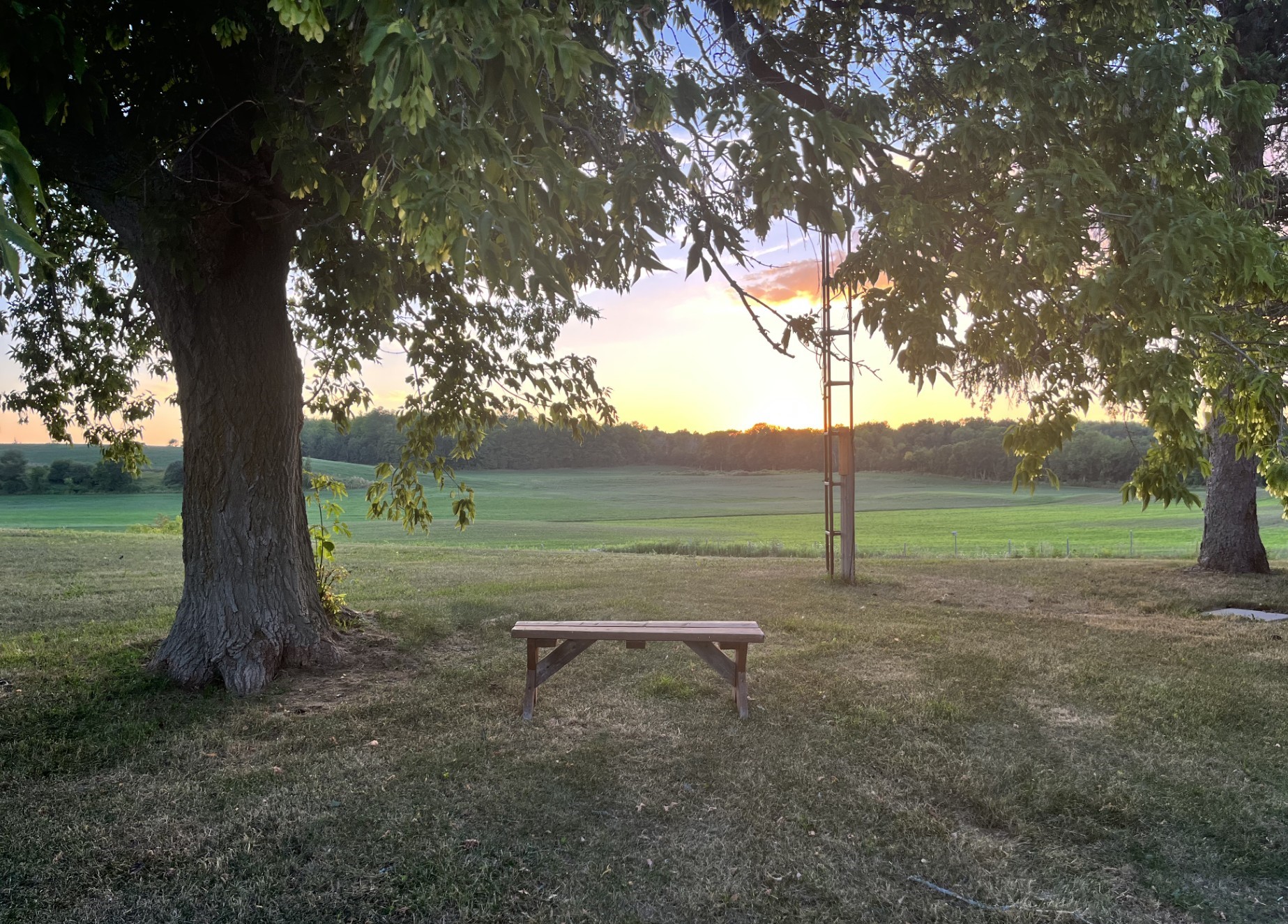 Peaceful outdoor community event space under trees in Trent Hills Ontario at sunset