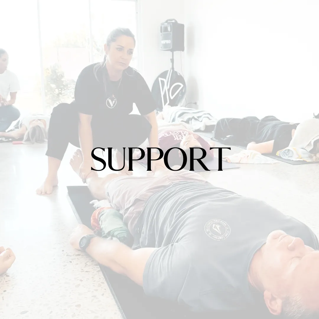 VIDYA Support