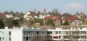 Nicolas Agnès - Réflexologie Fillière - Annecy le Vieux