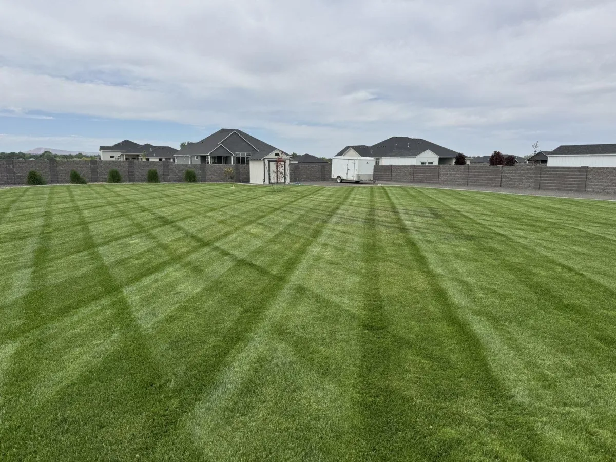 Lawn Maintenance in Arizona