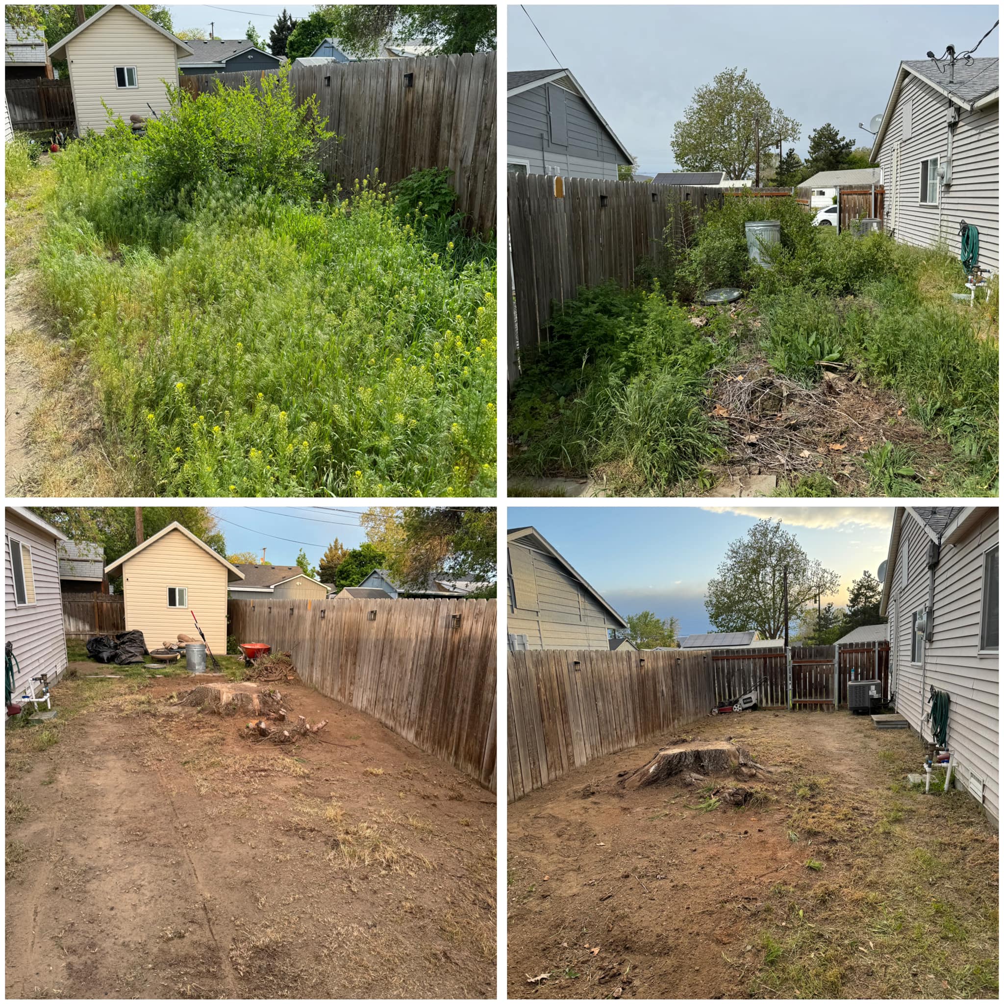 Yard Cleanup Services