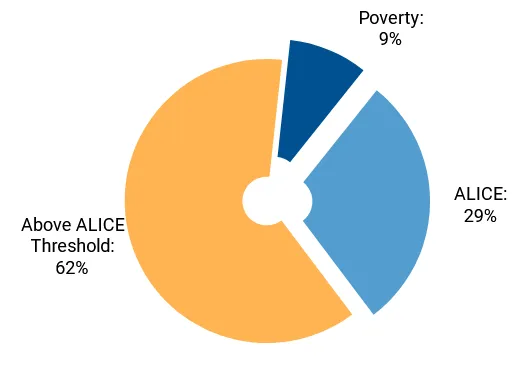 Asset Limited Income Constrained Employed graphic for Delaware