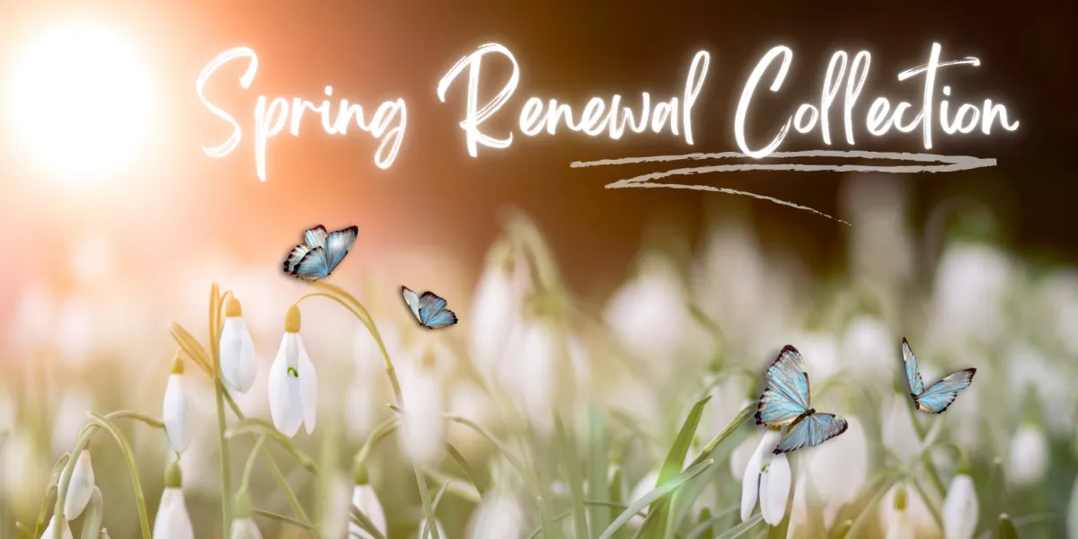 winter wellness offers