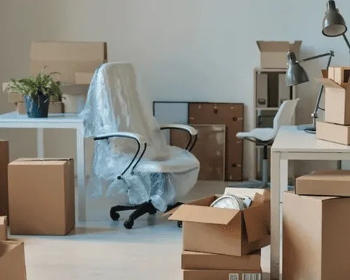 Lyman Mattress Removal