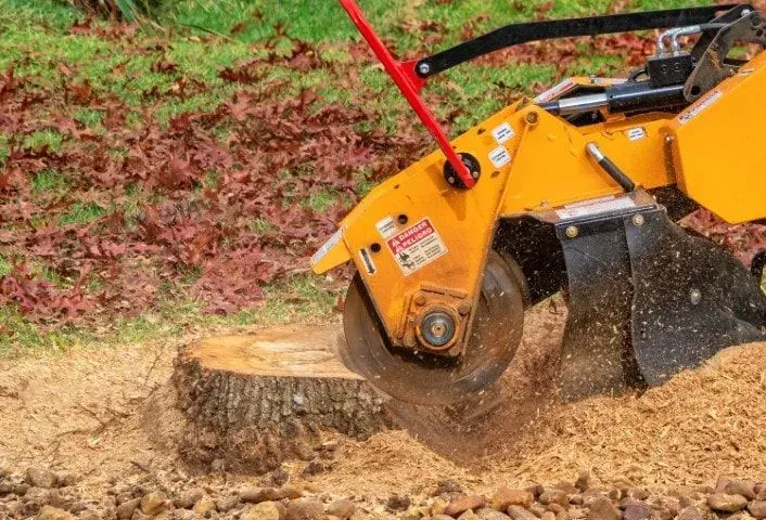 Professional stump grinding and tree stump removal service in Hawthorne, FL