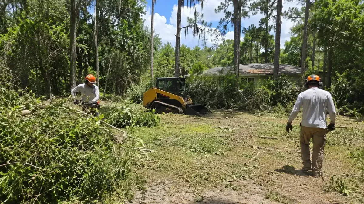 Storm-damaged tree cleanup and fallen limb removal in Hawthorne, FL