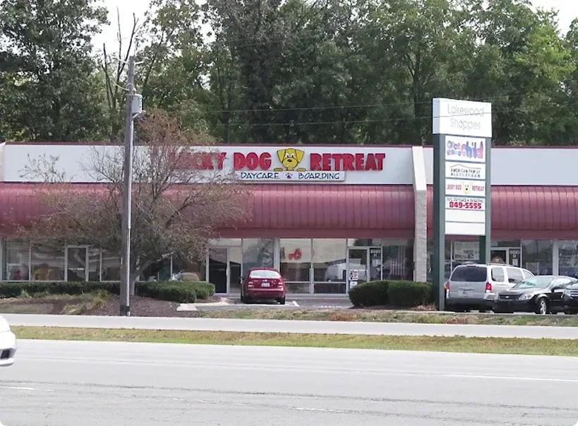 Lucky Dog Retreat Indianapolis