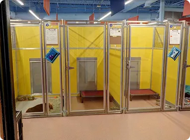dog play area