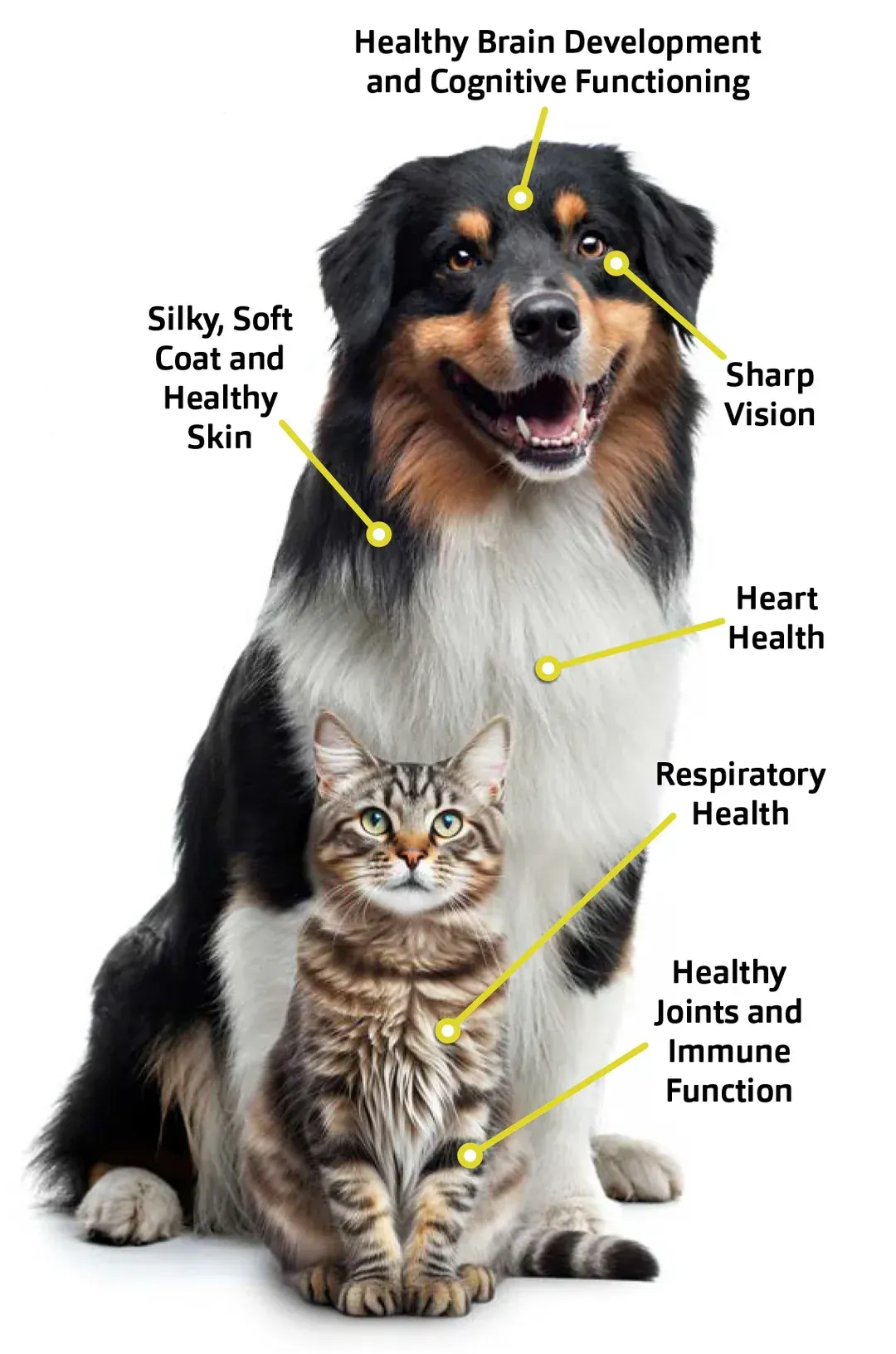 health benefits