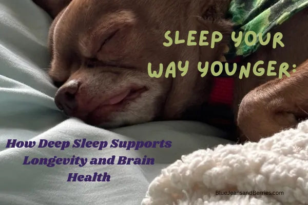  https://bluejeansandberries.com/post/sleep-your-way-younger-how-deep-sleep-supports-longevity-and-brain-health