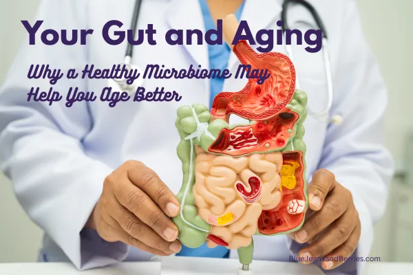 https://bluejeansandberries.com/post/your-gut-and-aging-why-a-healthy-microbiome-may-help-you-age-better
