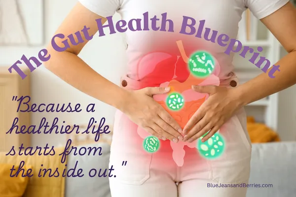 https://bluejeansandberries.com/post/the-gut-health-blueprint