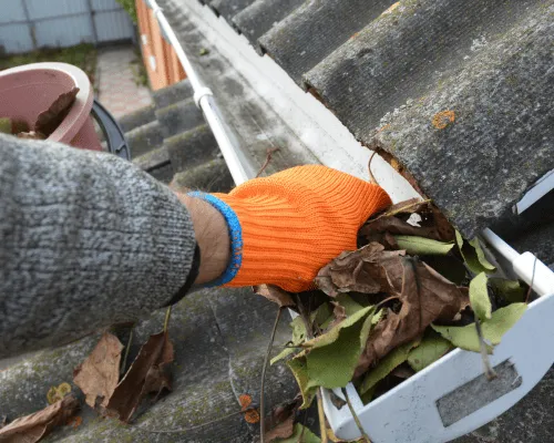 St. Louis County Gutter Cleaning