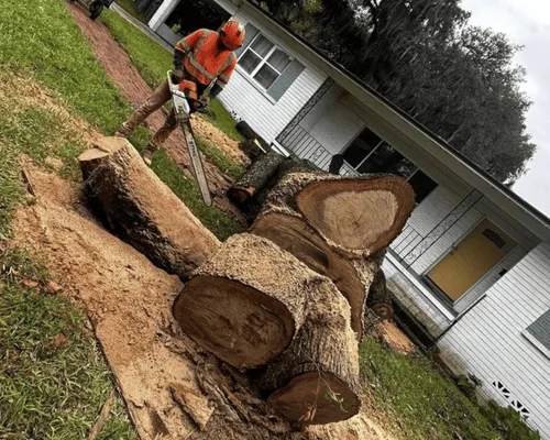 Land Clearing & Lot Preparation in St. Cloud