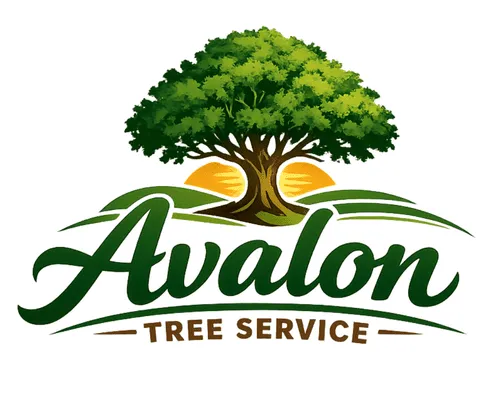 Tree & Landscape Services St. Cloud