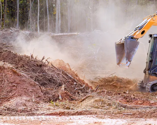  Tree Removal & Hazardous Tree Services