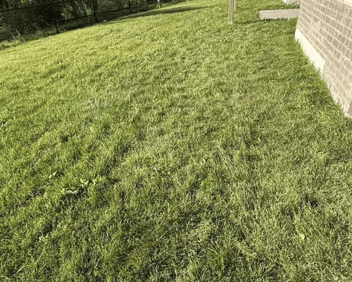 Kissimmee Lawn Mowing & Routine Lawn Maintenance