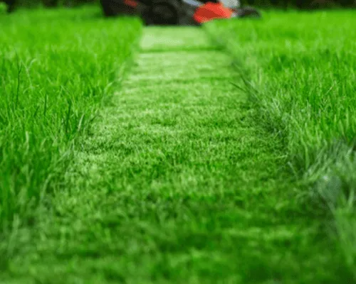 Lawn Mowing & Routine Lawn Maintenance in St. Cloud