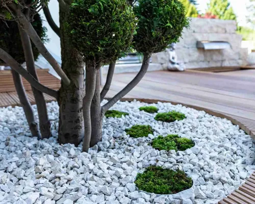  Tree Removal & Hazardous Tree Services