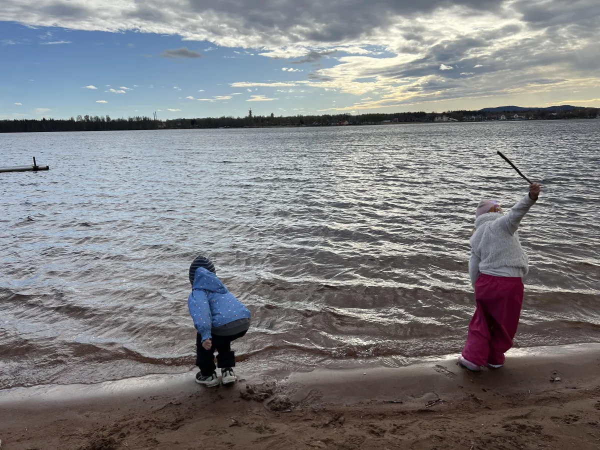 Healing Trauma is Environmental Work