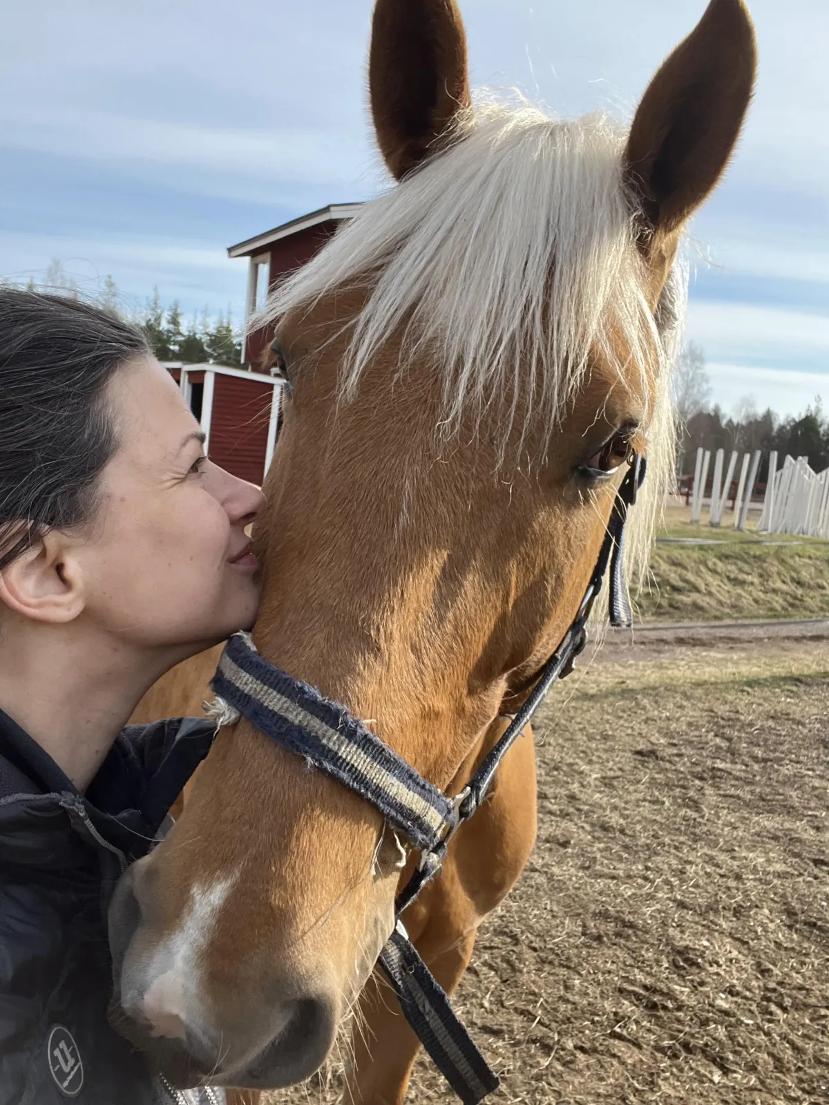 The Frequency of the Mare: A New Paradigm of Feminine Leadership