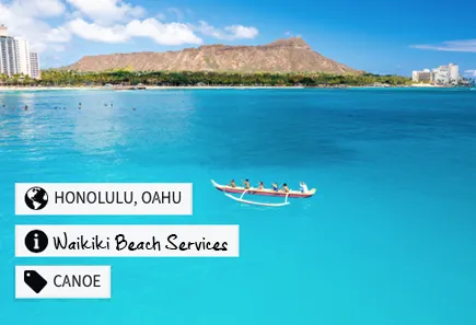 West Oahu Whale Watch Tour - A Whale Jumping out of the Water