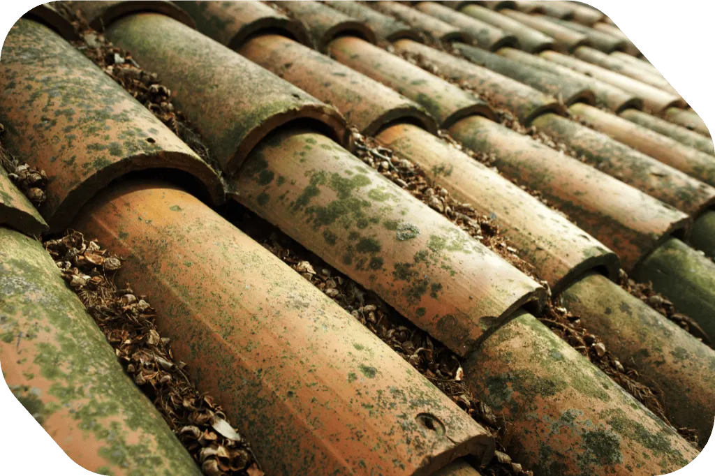 Installation résidentielle en Occitanie, toit avec panneaux solaires et techniciens au travail, vue trois-quarts.