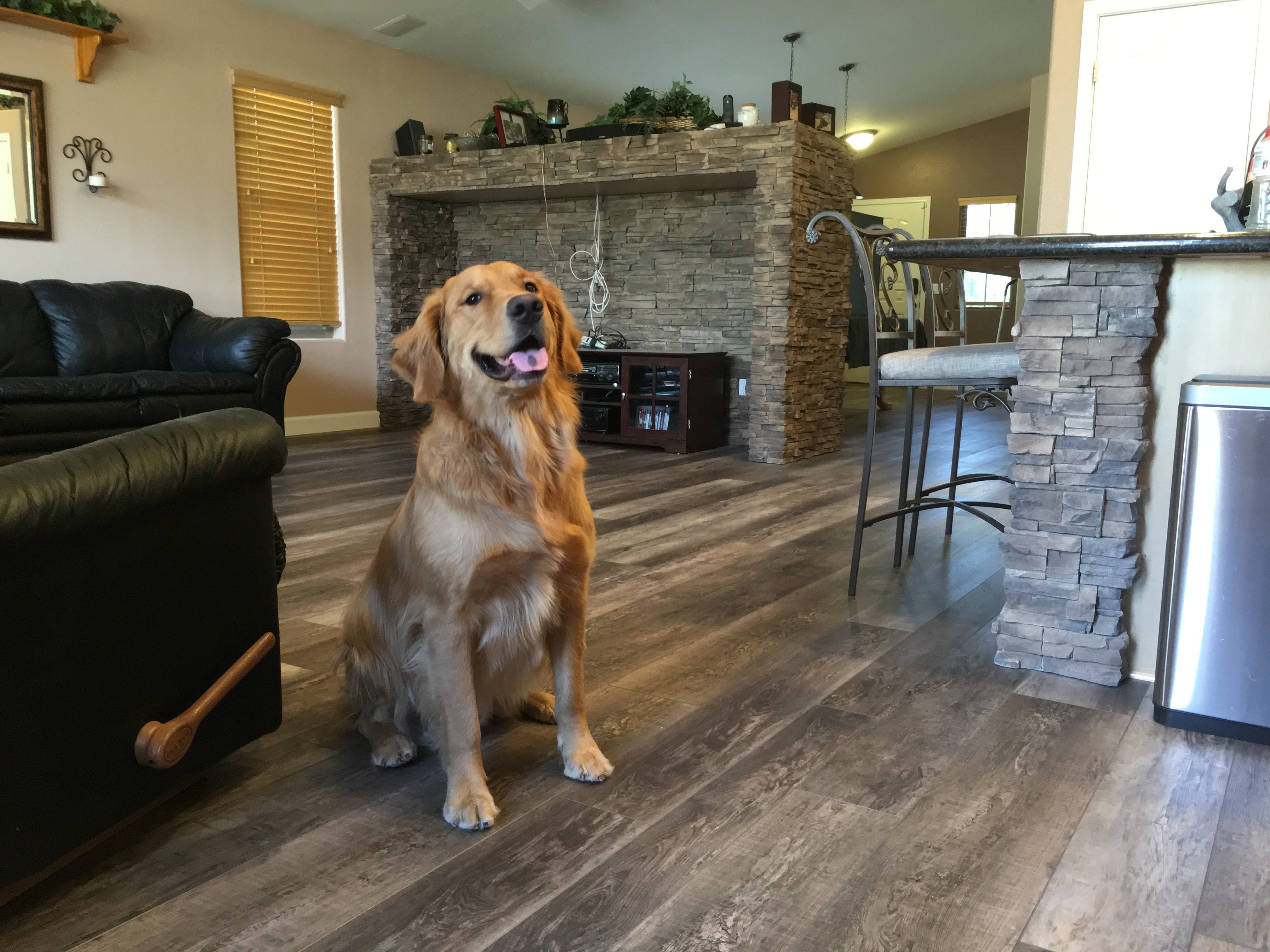  Illustrious Flooring