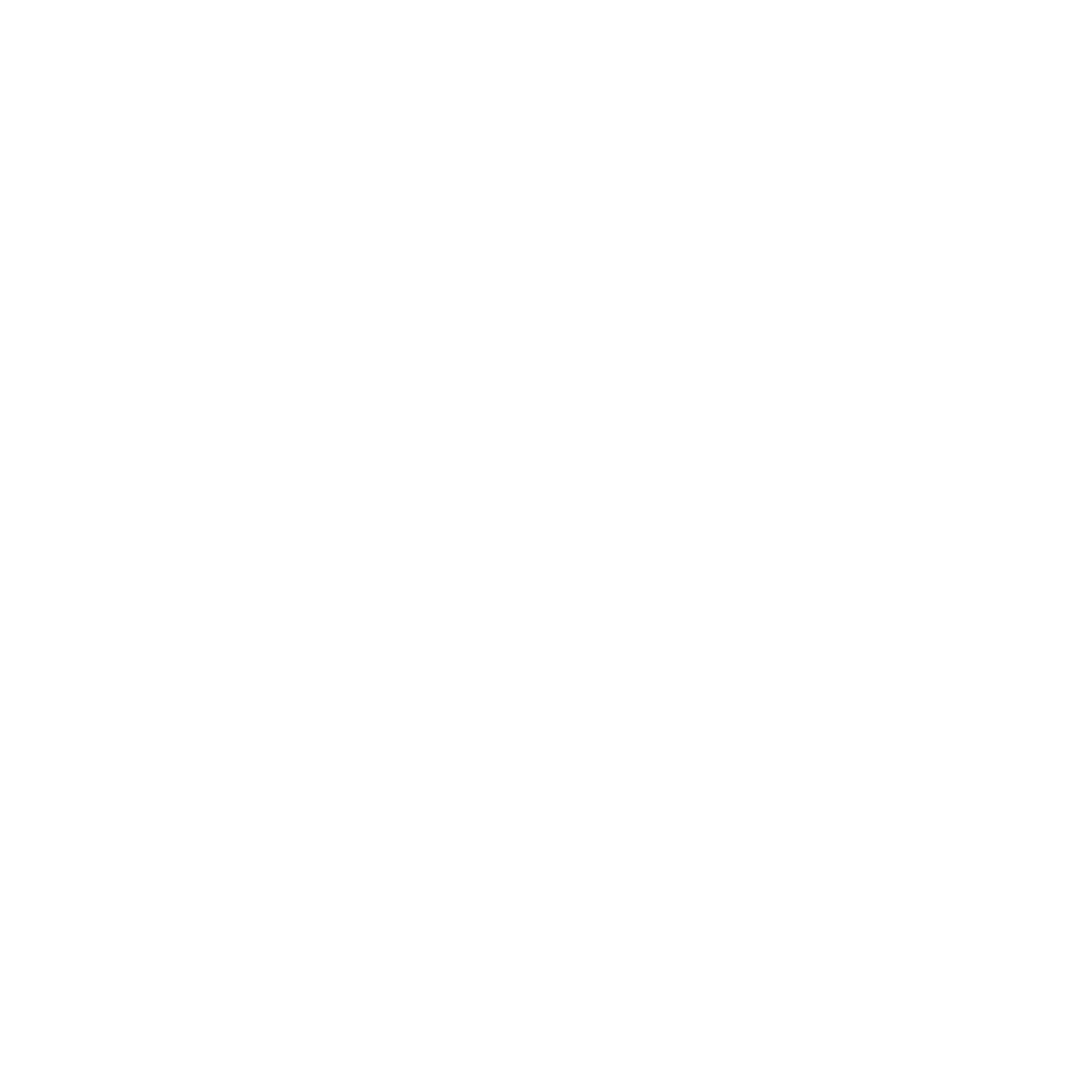 Megaphone icon