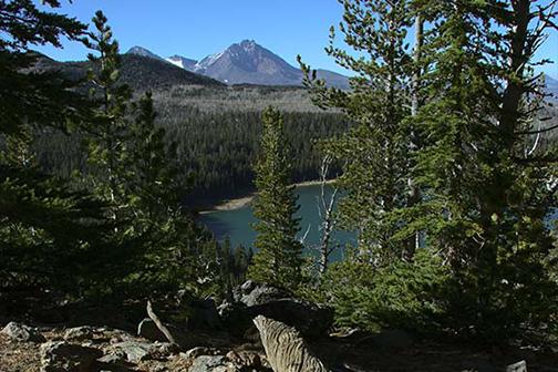 Sisters Oregon Usa Hiking Mountain Images & Pictures Bend Plant Tree Images & Pictures Abies Rubble Conifer Slate Hd Wood Wallpapers Birds Images Animals Images & Pictures Gravel Dirt Road Road Pine Spruce Public Domain Images