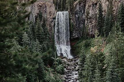 Tumalo Falls Trail Bend Or Usa Fir Hd Waterfall Wallpapers Pacific Northwest Tree Images & Pictures Hd Water Wallpapers River Nature Images Outdoors Plant Abies Tree Images & Pictures Conifer Pine Vegetation Road Wilderness Creative Commons Images