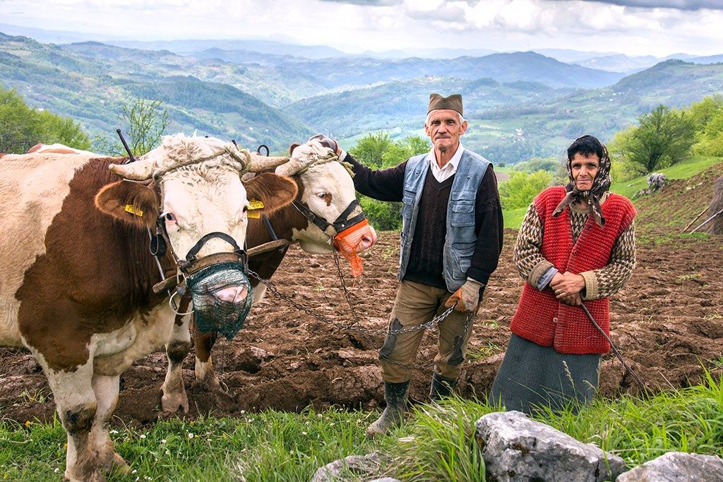 ДРЖАВА КОЈА НЕМА СЕЛО И ХРАНУ ЈЕ ОКУПИРАНА ЗЕМЉА