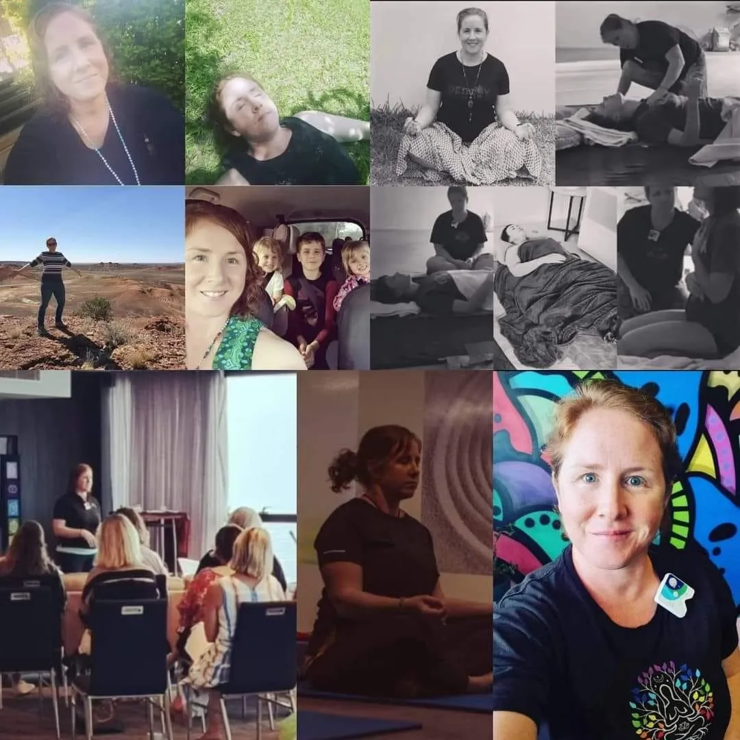 a white and black bird is standing on a hill