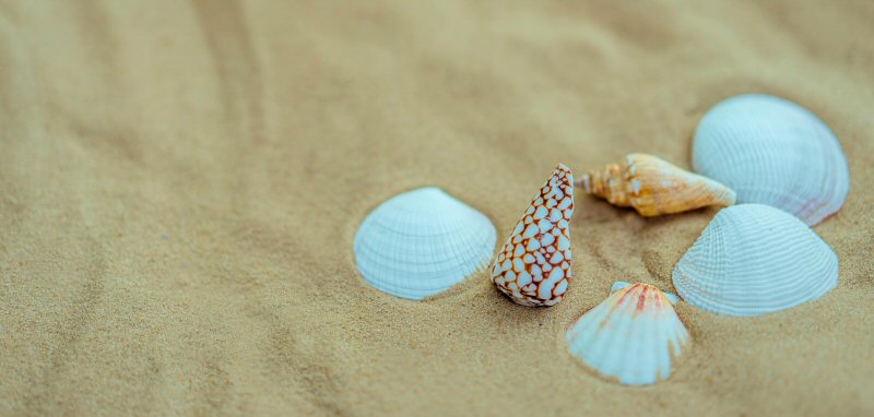 Intensive Therapy Mobile Alabama