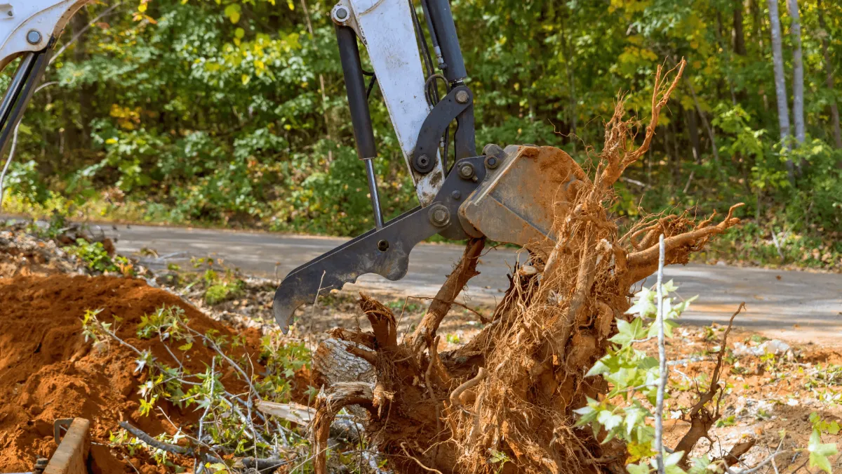 Stump Grinding